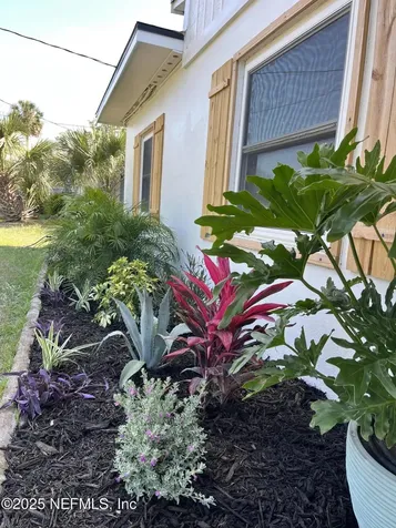 3904 Peach Drive Jacksonville FL 32246