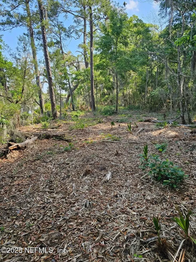 0 Barnwell Road Fernandina Beach FL 32034