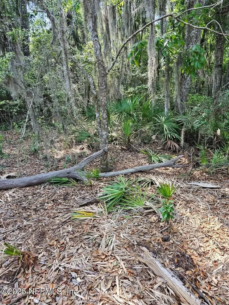 0 Barnwell Road Fernandina Beach FL 32034