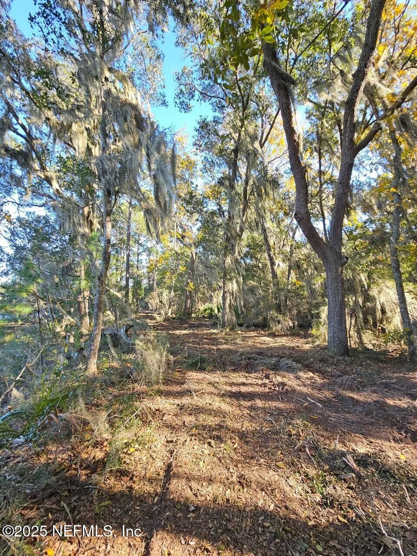 0 Barnwell Road Fernandina Beach FL 32034