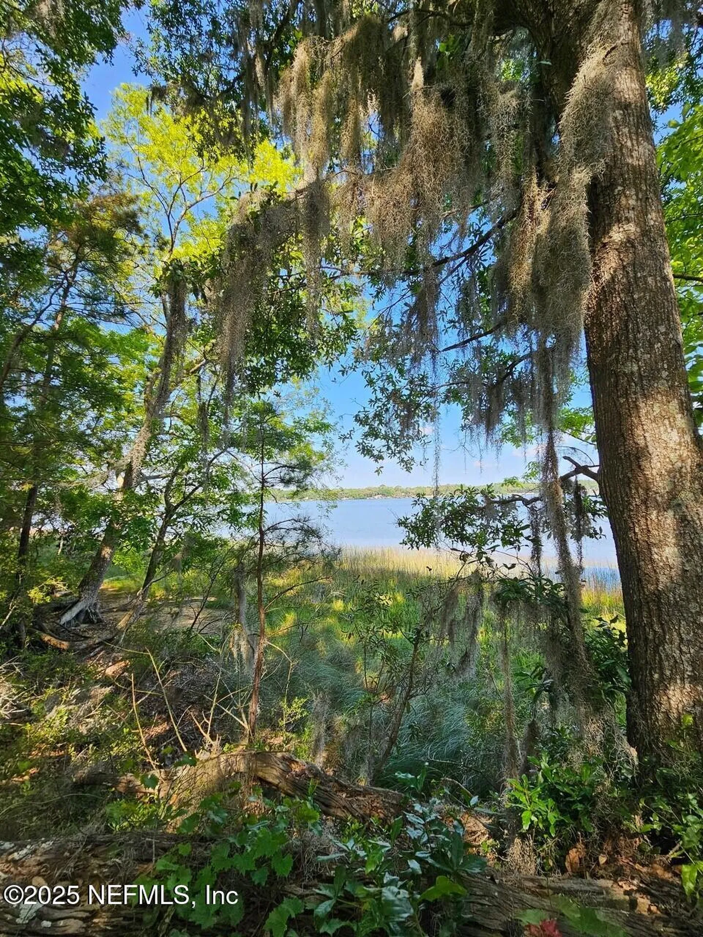 0 Barnwell Road Fernandina Beach FL 32034