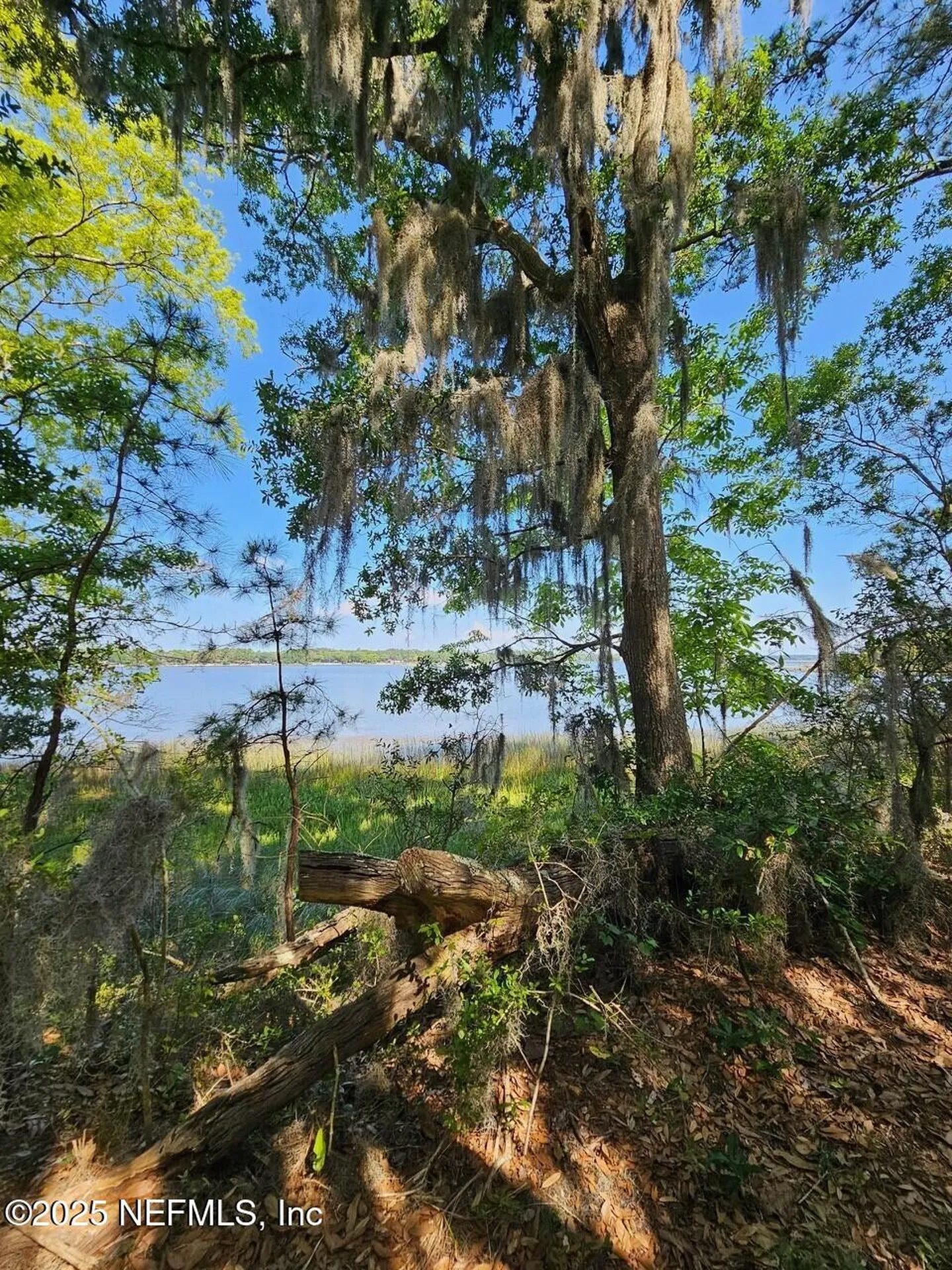 0 Barnwell Road Fernandina Beach FL 32034