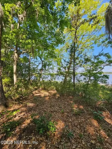 0 Barnwell Road Fernandina Beach FL 32034