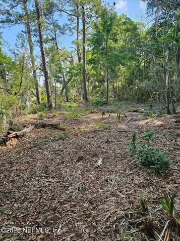 0 Barnwell Road Fernandina Beach FL 32034