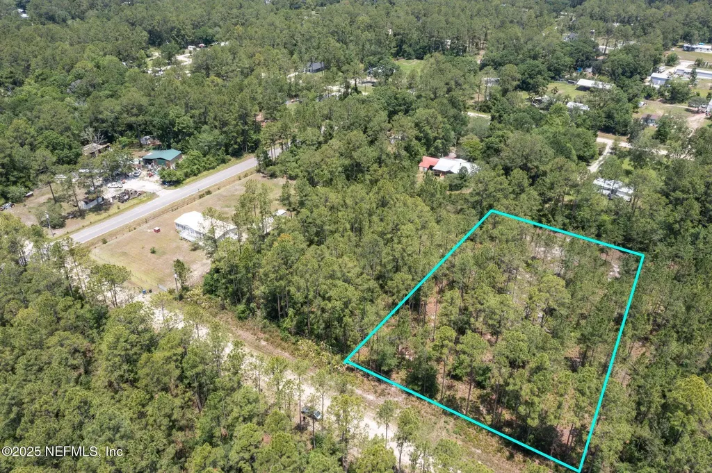 9250 Gladys Street Hastings FL 32145