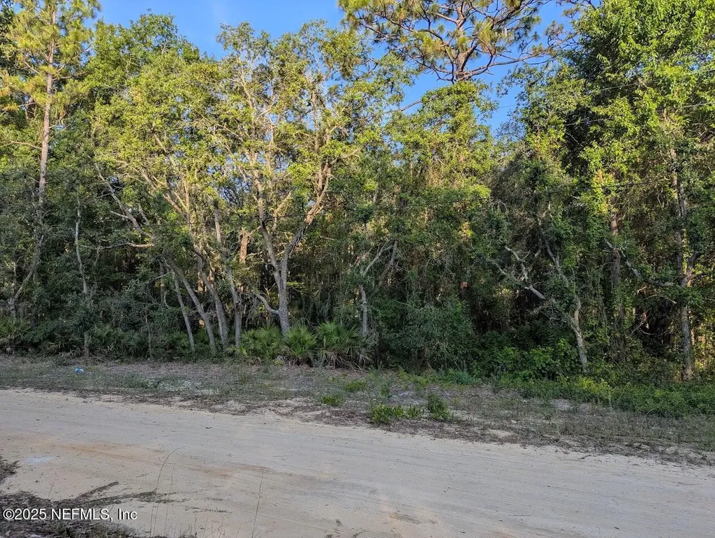 103 George Way Interlachen FL 32148
