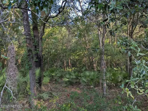 103 George Way Interlachen FL 32148
