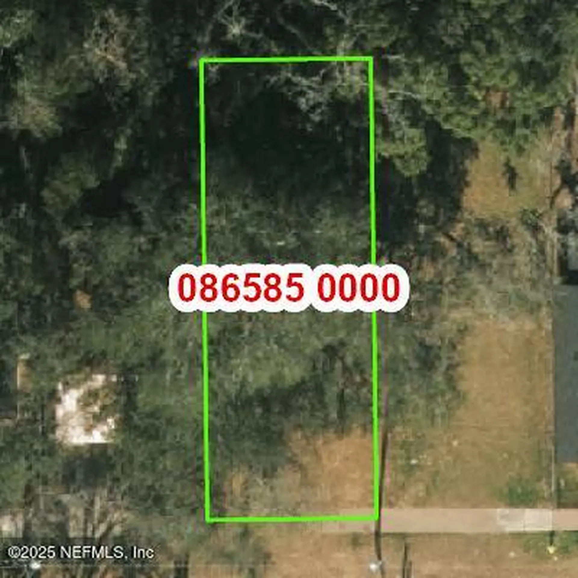 1341 W 22nd Street Jacksonville FL 32209