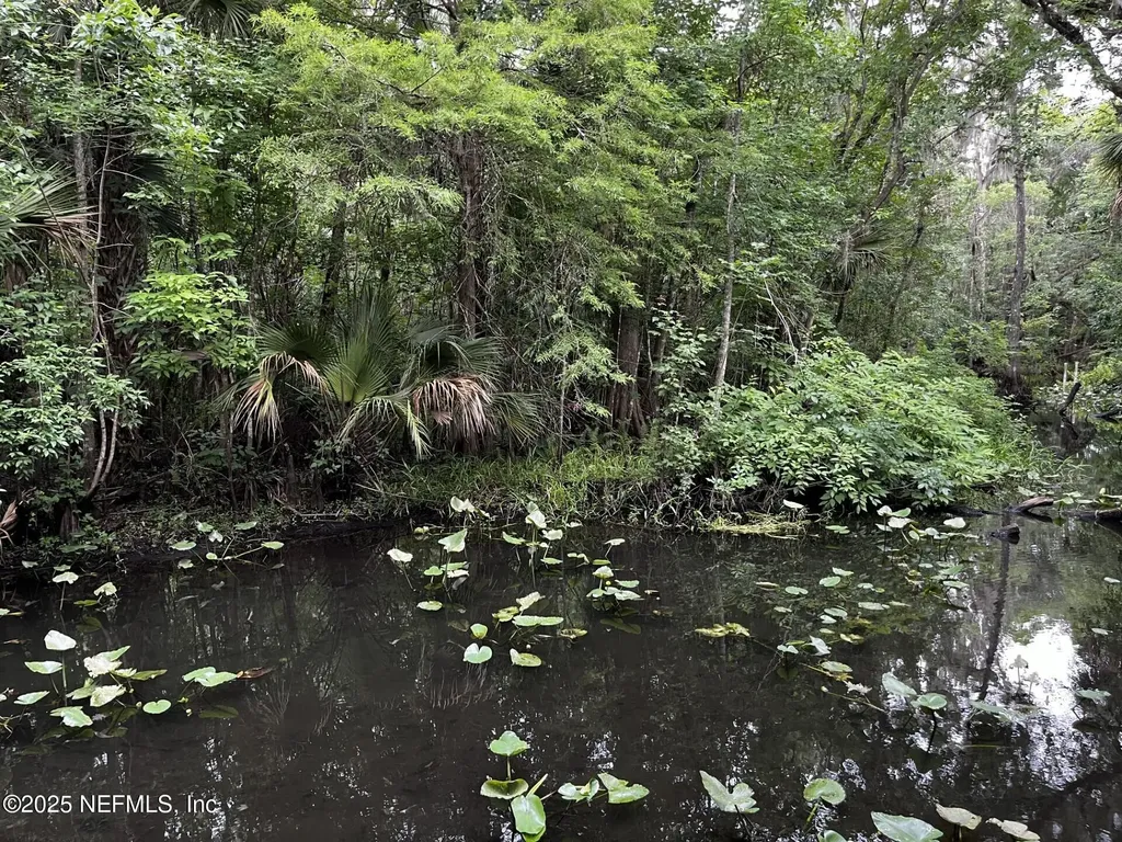 166 Mount Royal Avenue Crescent City FL 32112