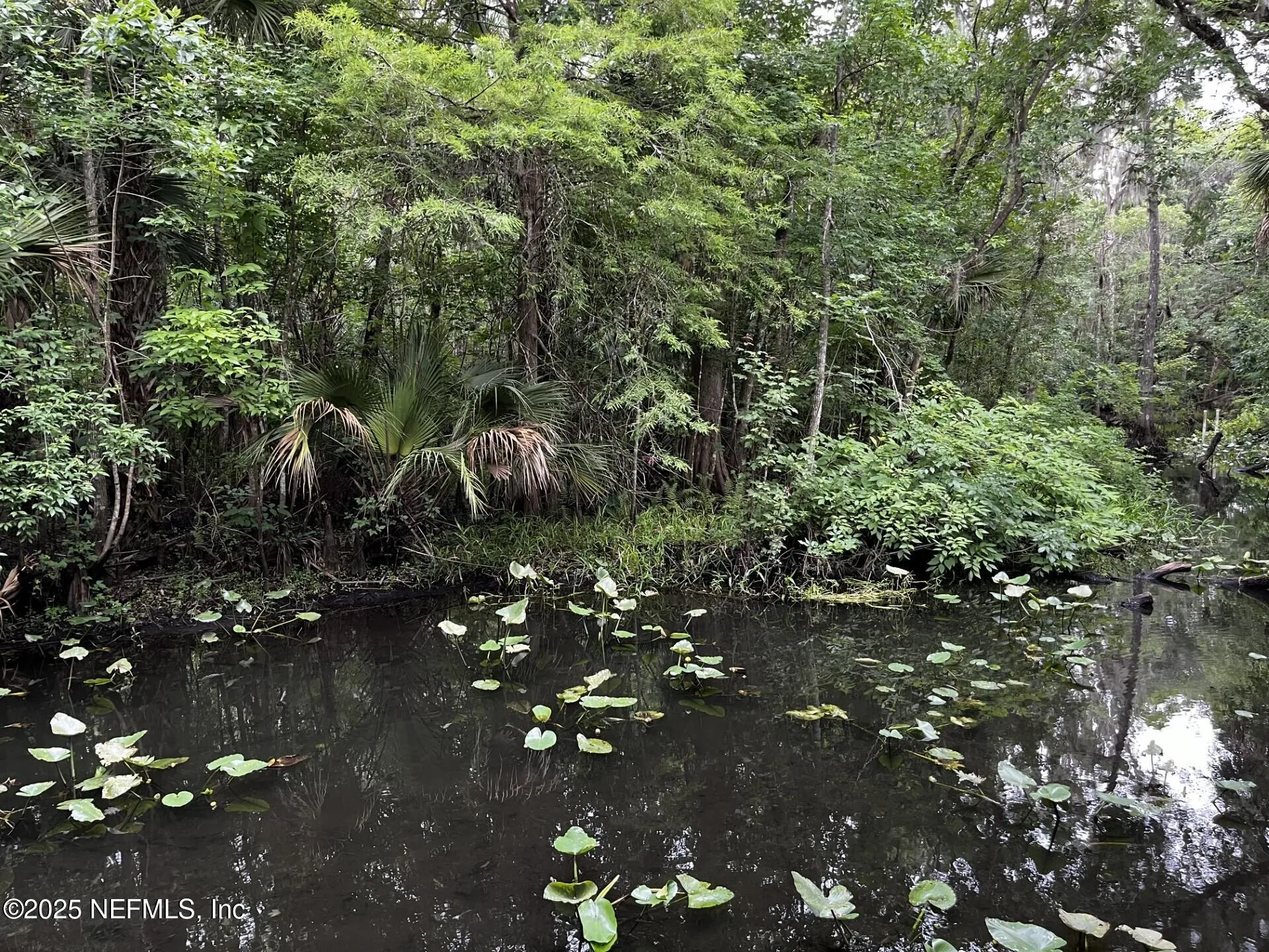 166 Mount Royal Avenue Crescent City FL 32112