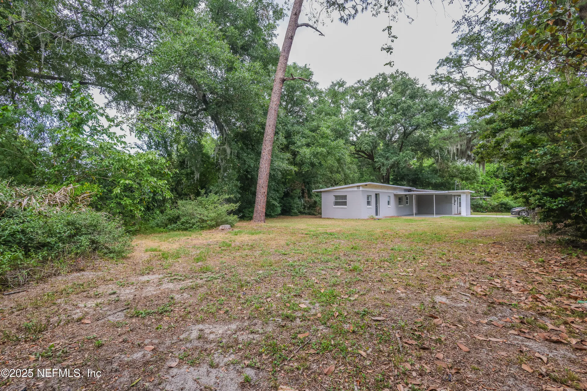 6351 Fabian Drive Jacksonville FL 32210