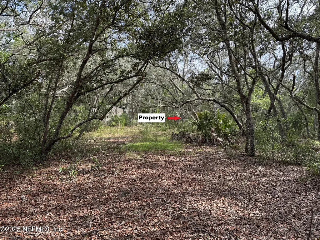 143 Dawson Avenue Interlachen FL 32148