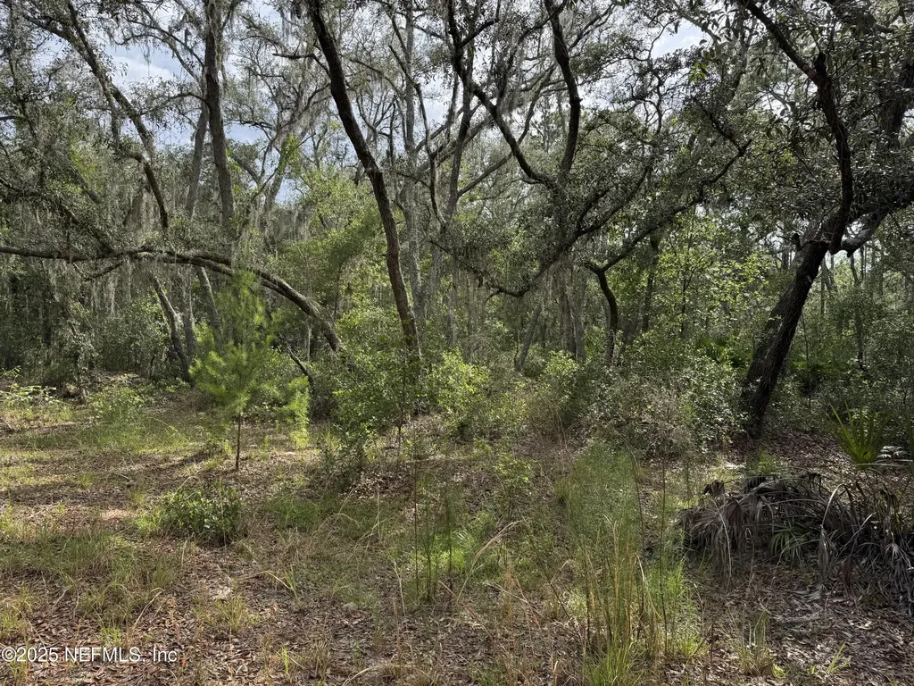 143 Dawson Avenue Interlachen FL 32148