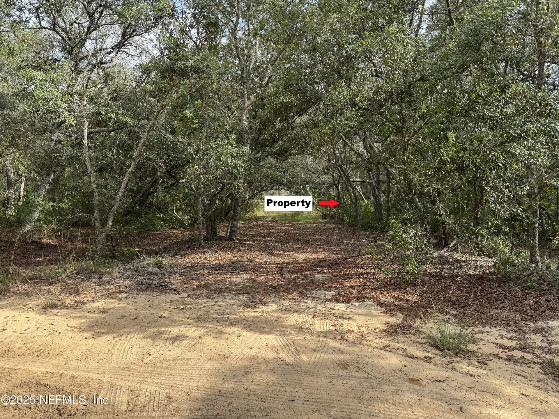 143 Dawson Avenue Interlachen FL 32148