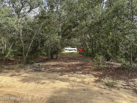 143 Dawson Avenue Interlachen FL 32148