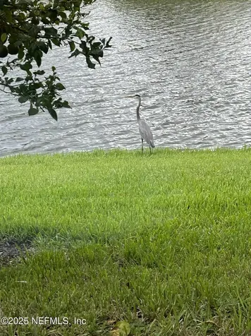 501 N Legacy Trail St. Augustine FL 32092