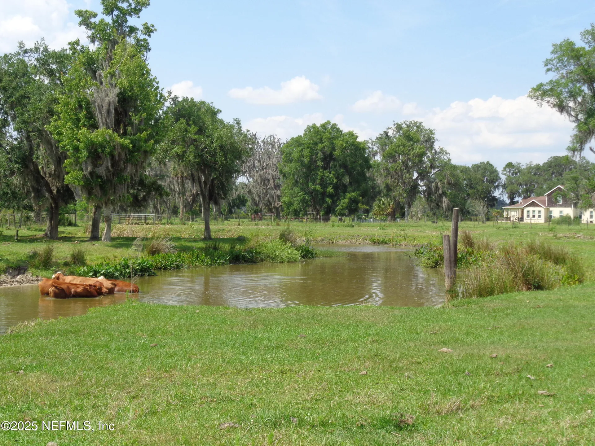 Tbd Barrel Factory Road Hastings FL 32145