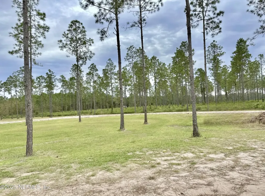 5503 Millie Way Green Cove Springs FL 32043