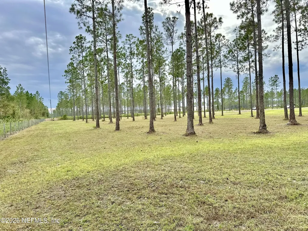 5503 Millie Way Green Cove Springs FL 32043