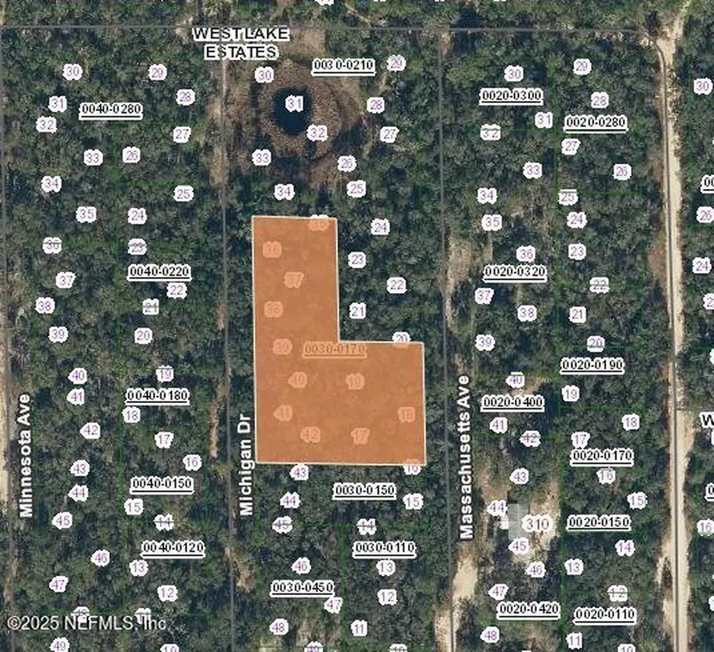 Lot 0 Michigan Drive Hawthorne FL 32640