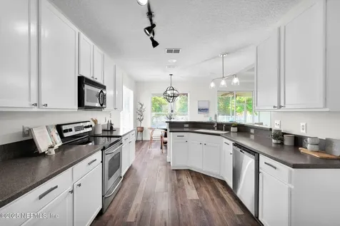 767 Mosswood Chase Street Orange Park FL 32065