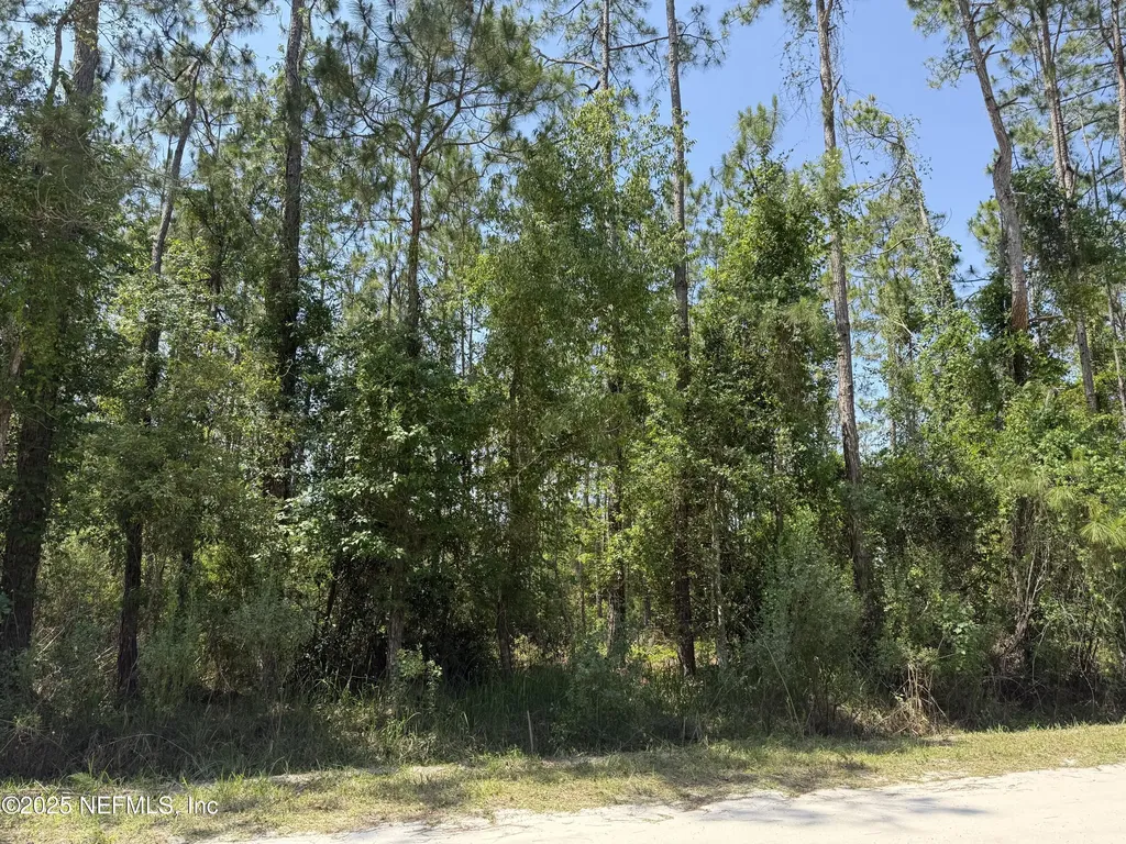 109 White Pine Lane Georgetown FL 32139
