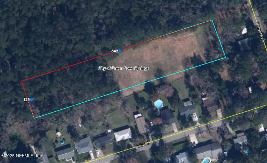 100 El Dorado Drive Green Cove Springs FL 32043
