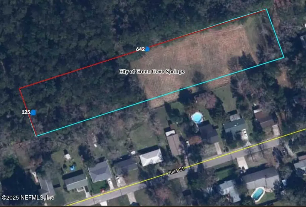 100 El Dorado Drive Green Cove Springs FL 32043