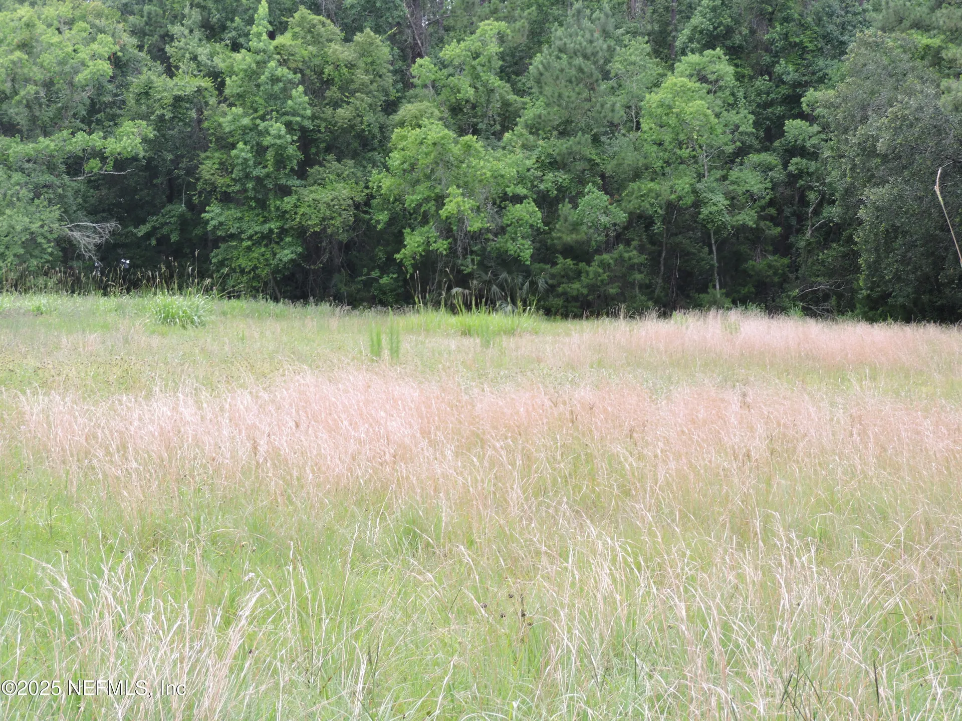 100 El Dorado Drive Green Cove Springs FL 32043