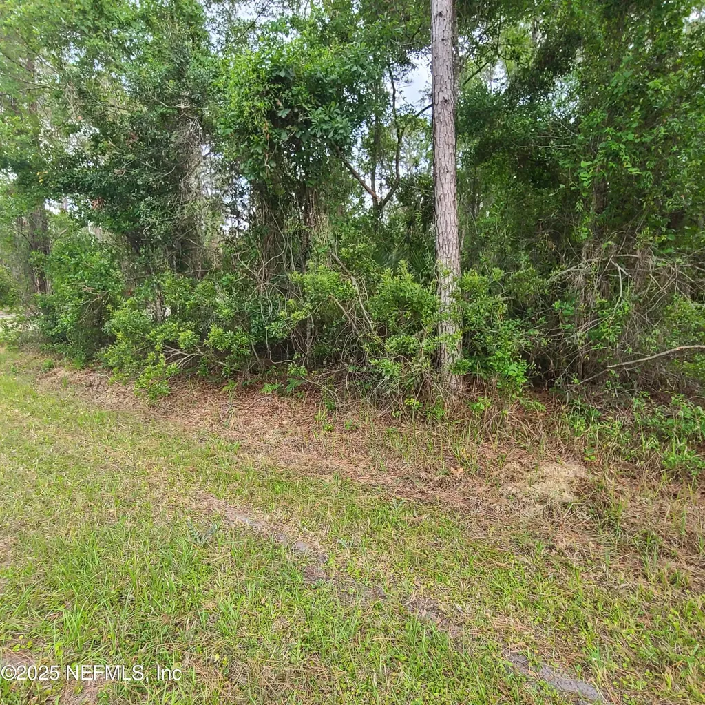 233 Paradise Boulevard Georgetown FL 32139