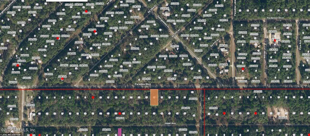 233 Paradise Boulevard Georgetown FL 32139