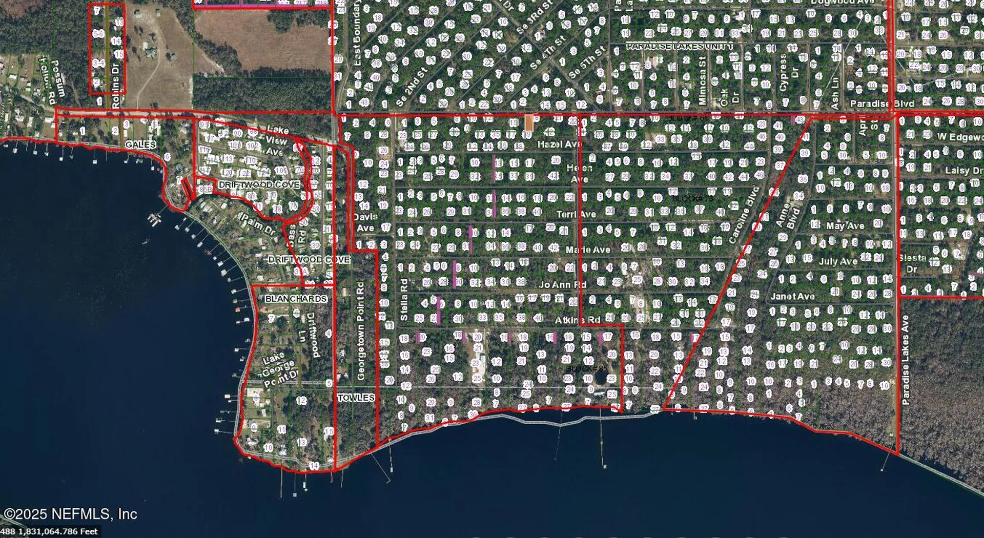 233 Paradise Boulevard Georgetown FL 32139