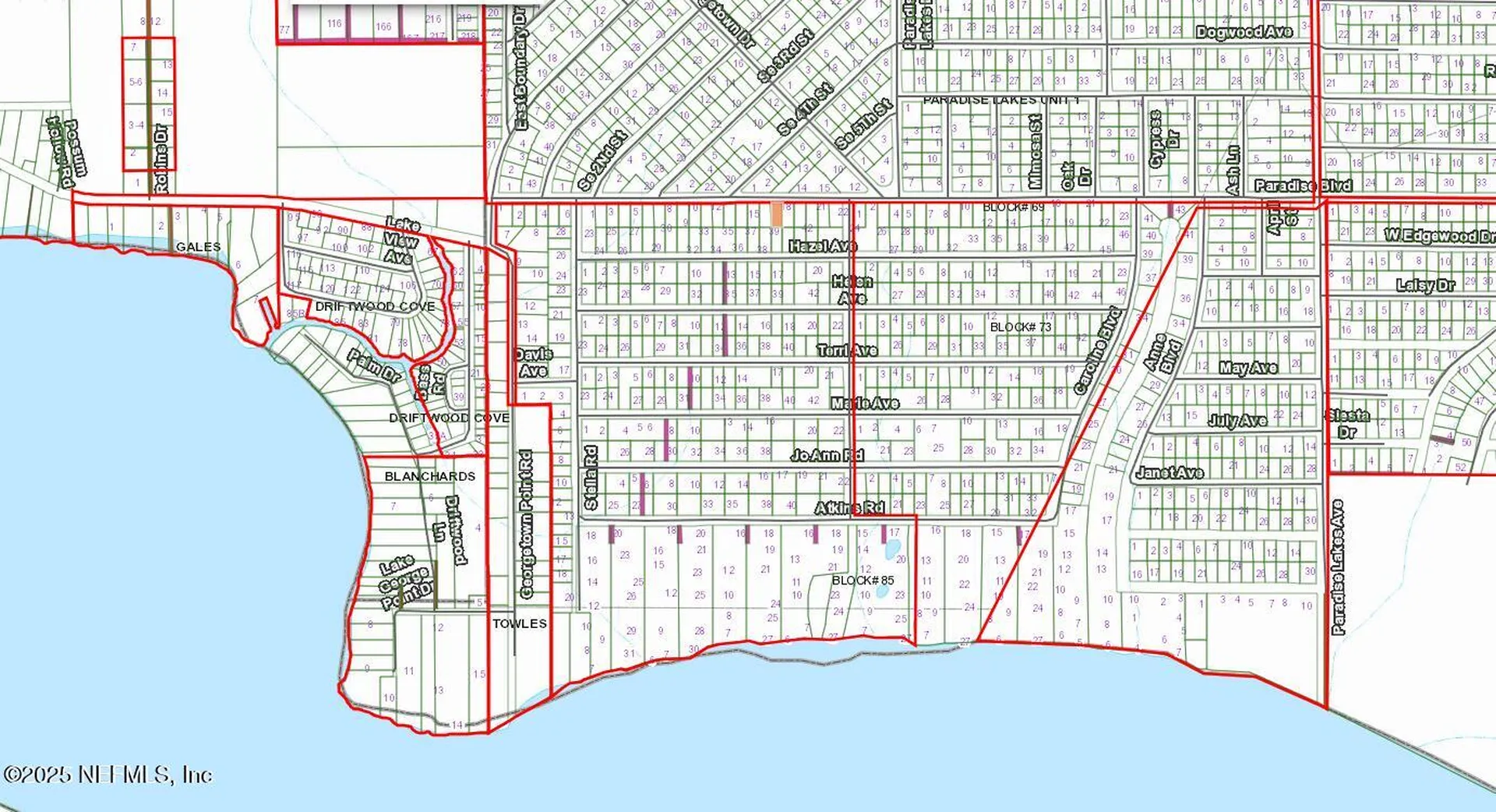 233 Paradise Boulevard Georgetown FL 32139