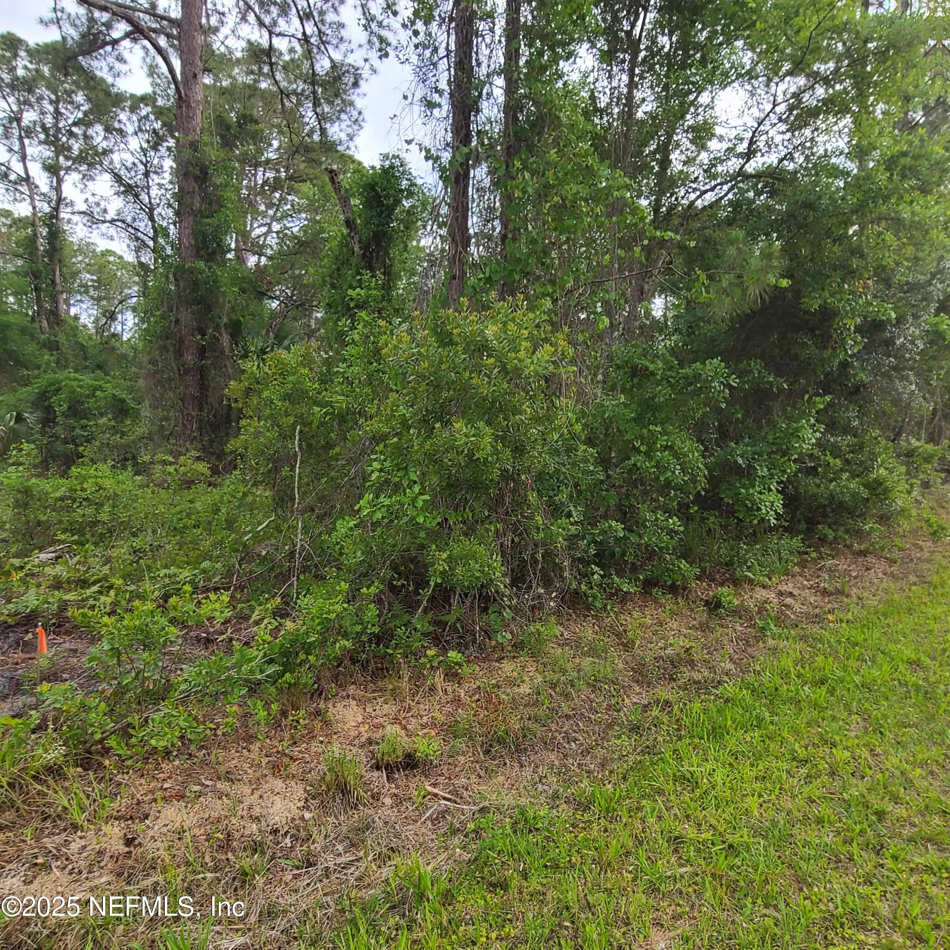 233 Paradise Boulevard Georgetown FL 32139