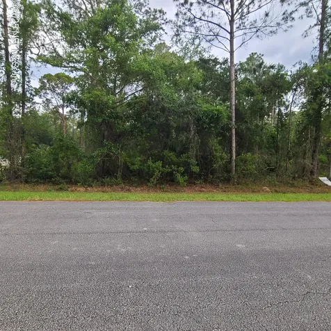 233 Paradise Boulevard Georgetown FL 32139