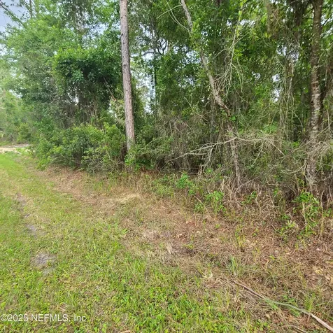 233 Paradise Boulevard Georgetown FL 32139
