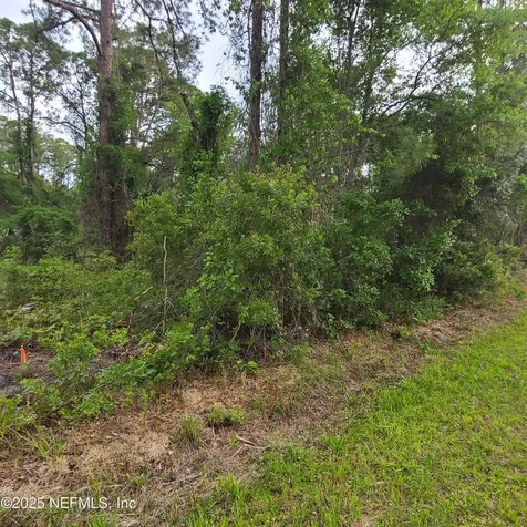 233 Paradise Boulevard Georgetown FL 32139