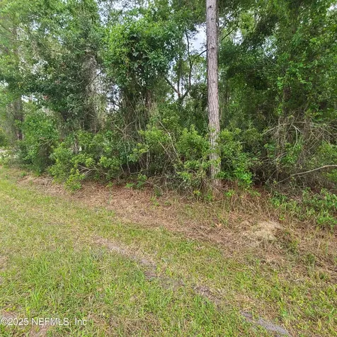 233 Paradise Boulevard Georgetown FL 32139