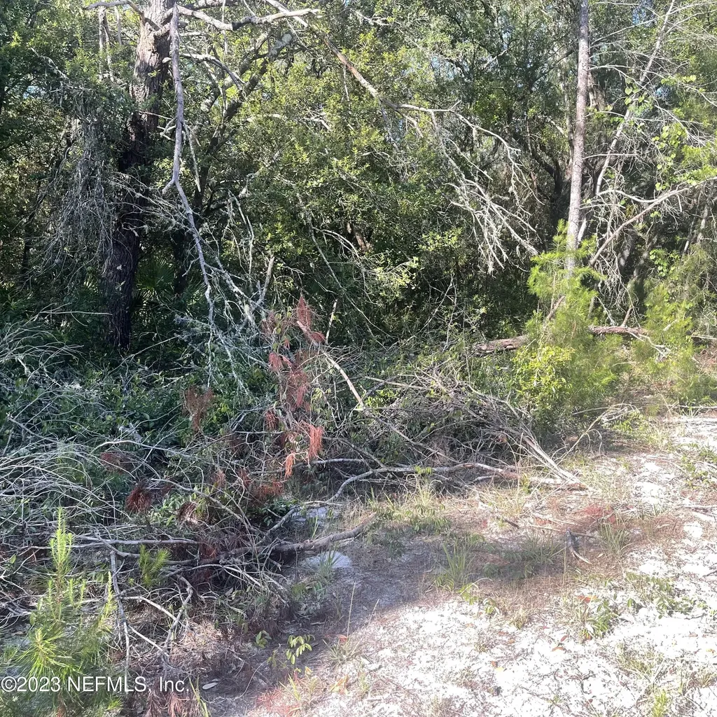 117 Waites Drive Florahome FL 32140