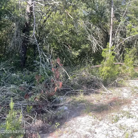 117 Waites Drive Florahome FL 32140