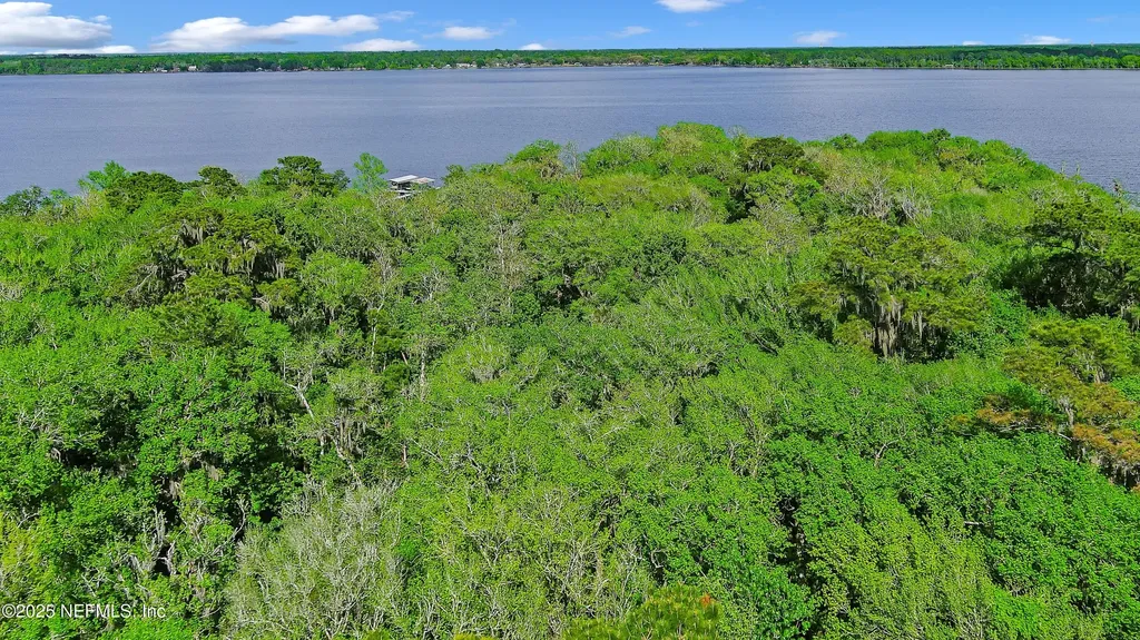258 Lake Drive Florahome FL 32140