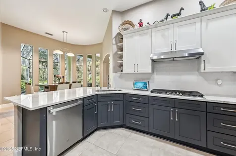 3461 Mainard Branch Court Fleming Island FL 32003