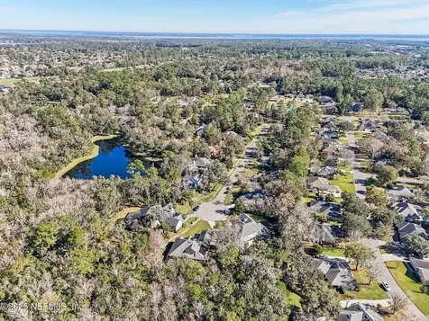 3461 Mainard Branch Court Fleming Island FL 32003