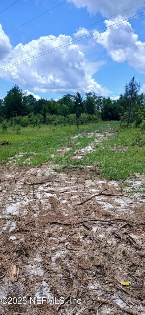2995 Thunder Road Middleburg FL 32068
