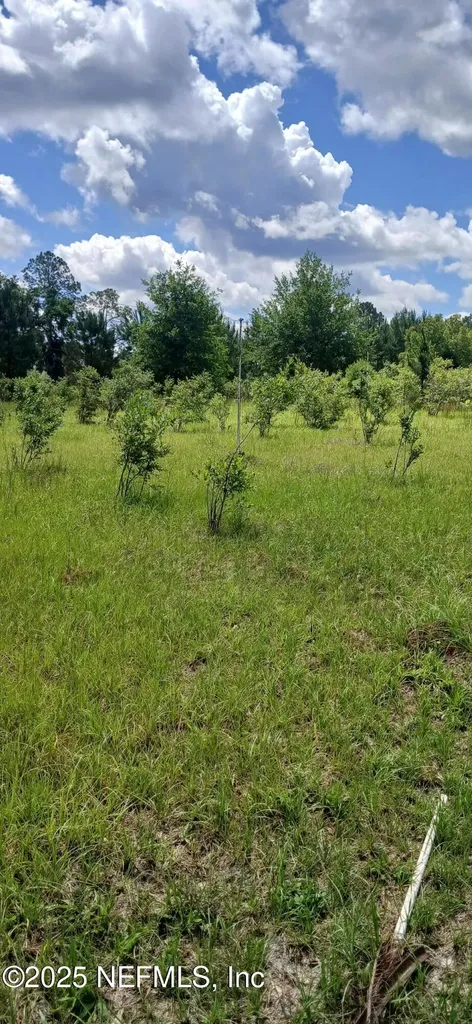 2995 Thunder Road Middleburg FL 32068