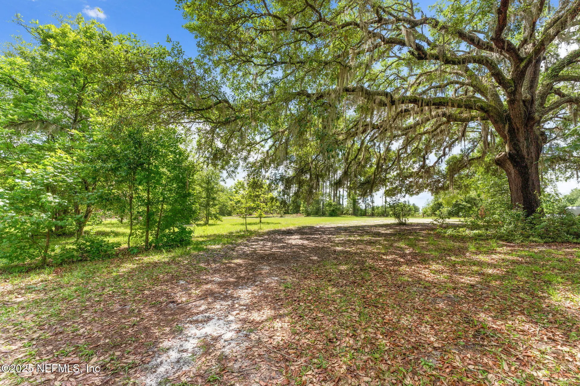 2995 Thunder Road Middleburg FL 32068