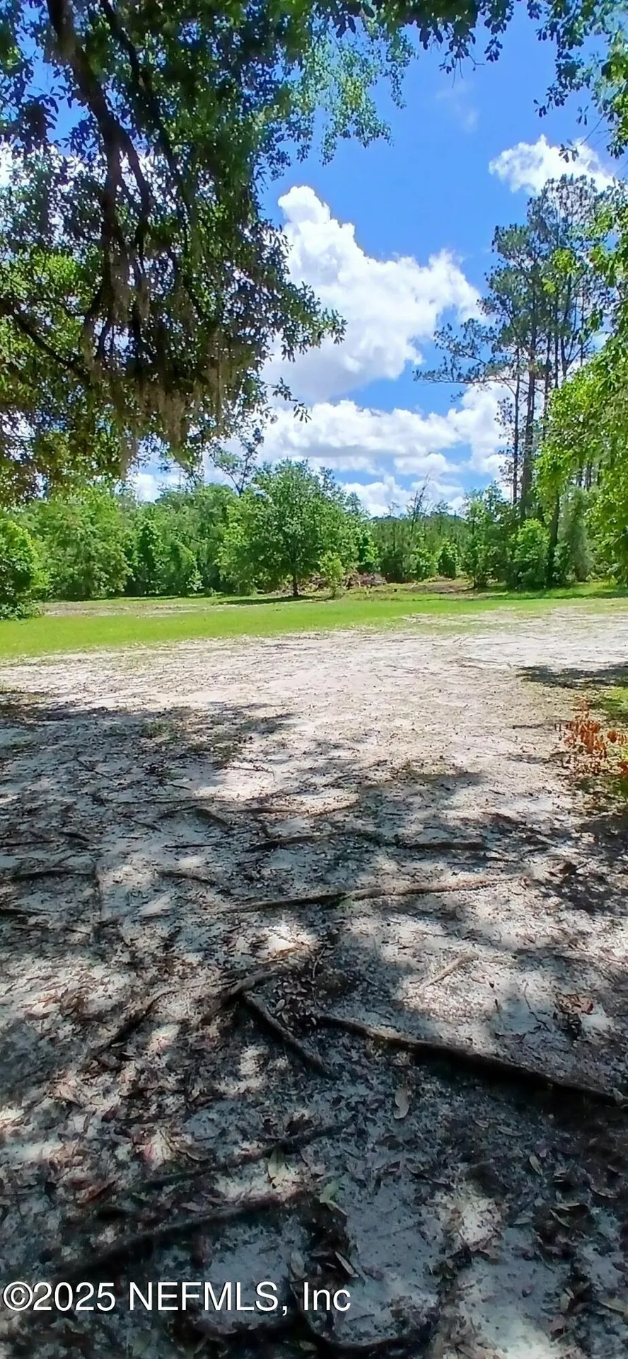 2995 Thunder Road Middleburg FL 32068