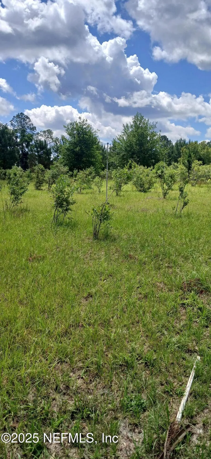 2995 Thunder Road Middleburg FL 32068