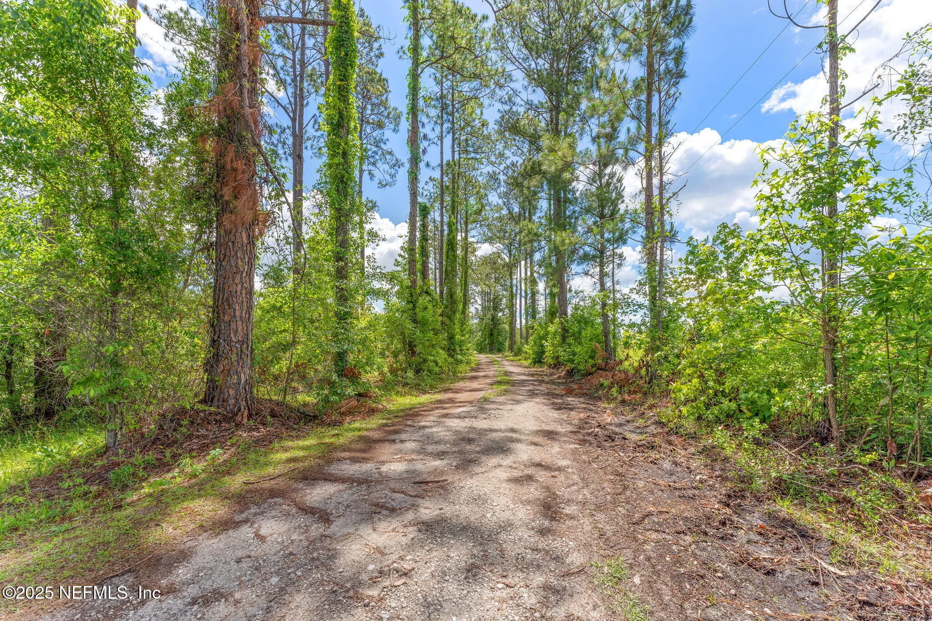 2995 Thunder Road Middleburg FL 32068