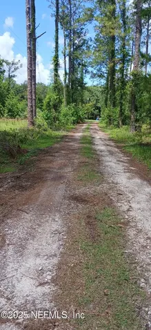 2995 Thunder Road Middleburg FL 32068
